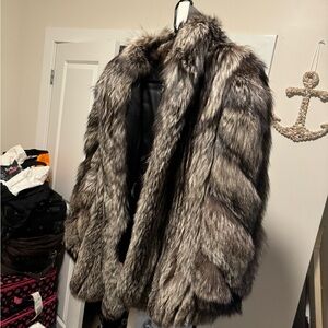 Gray fox for mint condition